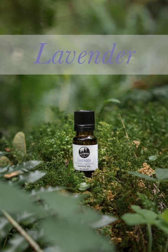 10ML Lavender Essential Oil