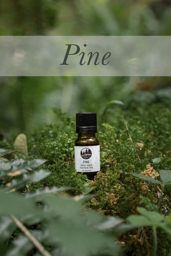 10ML Pine essential oil