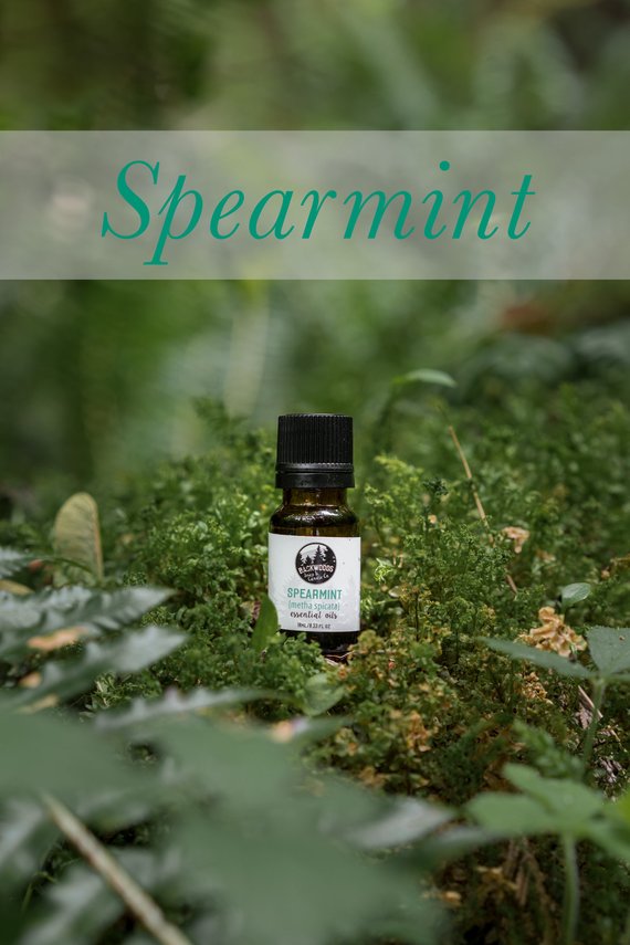 10ML Spearmint Essential Oil